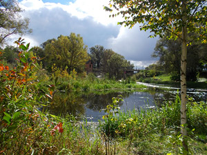 Природно-заповідний фонд